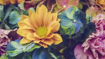 quelle fleur etes vous